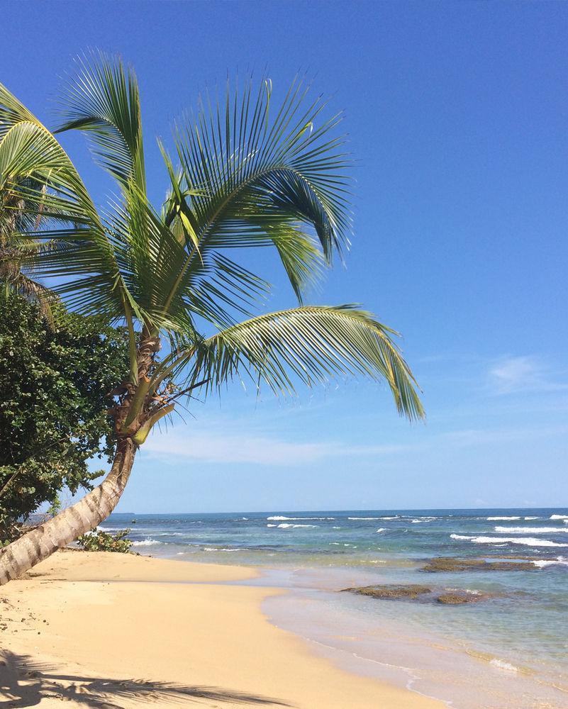 Las Casitas De Playa Negra Vandrarhem Puerto Viejo de Talamanca Exteriör bild