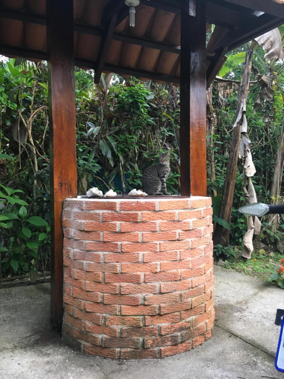 Las Casitas De Playa Negra Vandrarhem Puerto Viejo de Talamanca Exteriör bild